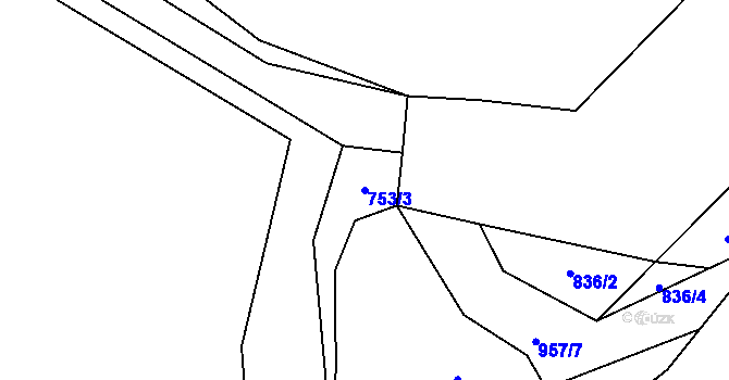 Parcela st. 753/3 v KÚ Čáslavice, Katastrální mapa
