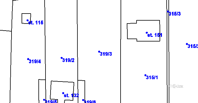 Parcela st. 319/3 v KÚ Částkov u Tachova, Katastrální mapa