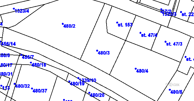 Parcela st. 480/3 v KÚ Částkov, Katastrální mapa