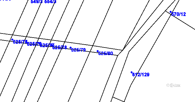 Parcela st. 525/80 v KÚ Částkov, Katastrální mapa