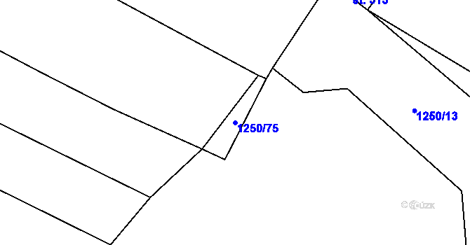 Parcela st. 1250/75 v KÚ Častrov, Katastrální mapa