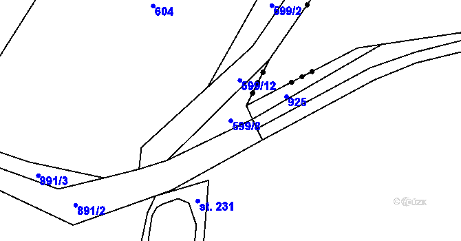 Parcela st. 599/8 v KÚ Čavisov, Katastrální mapa