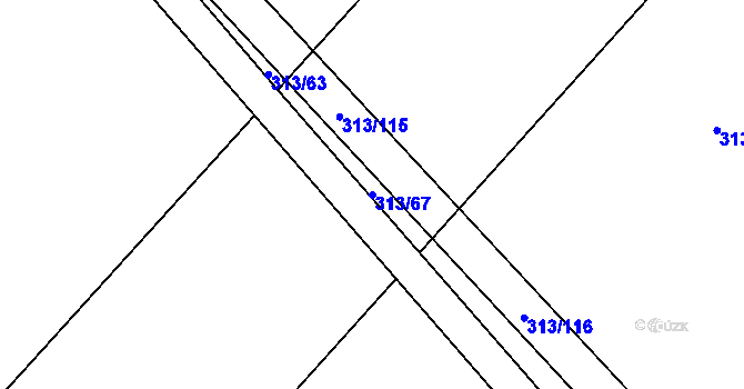 Parcela st. 313/67 v KÚ Čebín, Katastrální mapa