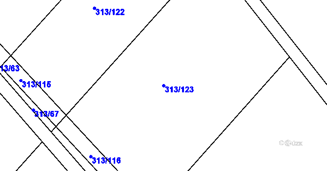 Parcela st. 313/123 v KÚ Čebín, Katastrální mapa