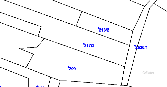 Parcela st. 217/3 v KÚ Čebín, Katastrální mapa