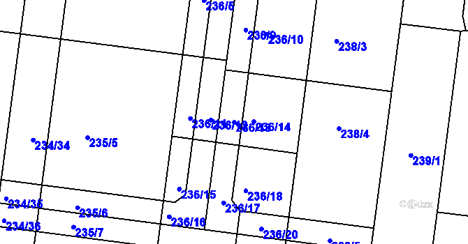 Parcela st. 236/13 v KÚ Čechovice u Prostějova, Katastrální mapa