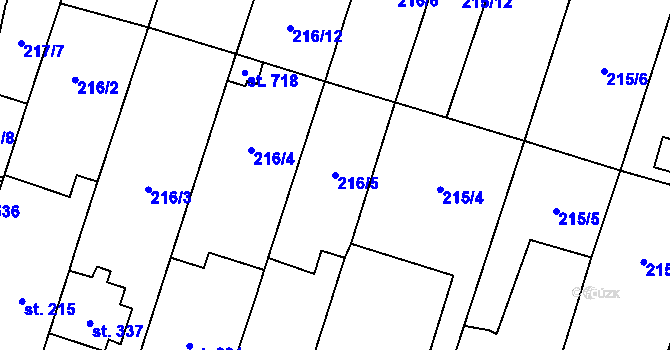 Parcela st. 216/5 v KÚ Domamyslice, Katastrální mapa
