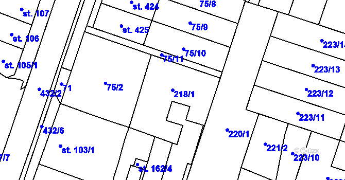 Parcela st. 218/1 v KÚ Domamyslice, Katastrální mapa