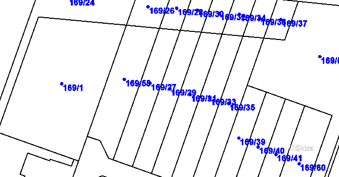 Parcela st. 169/29 v KÚ Domamyslice, Katastrální mapa