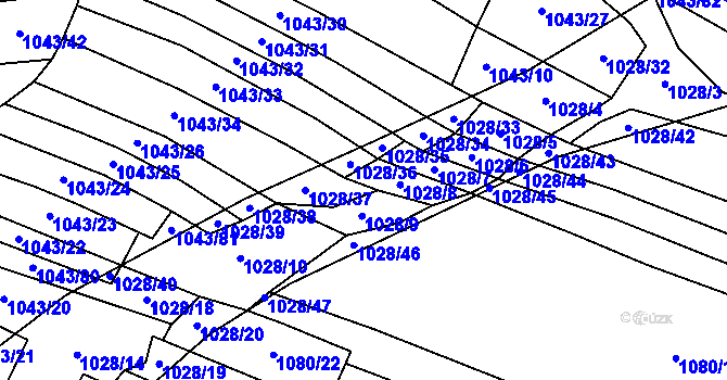 Parcela st. 1028 v KÚ Čechtice, Katastrální mapa