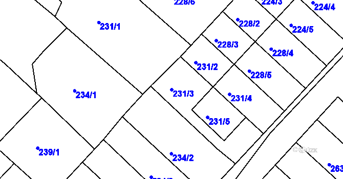 Parcela st. 231/3 v KÚ Čejč, Katastrální mapa