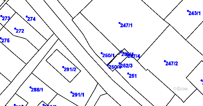 Parcela st. 250/1 v KÚ Čejč, Katastrální mapa