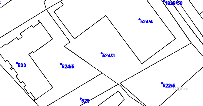 Parcela st. 524/3 v KÚ Čejč, Katastrální mapa