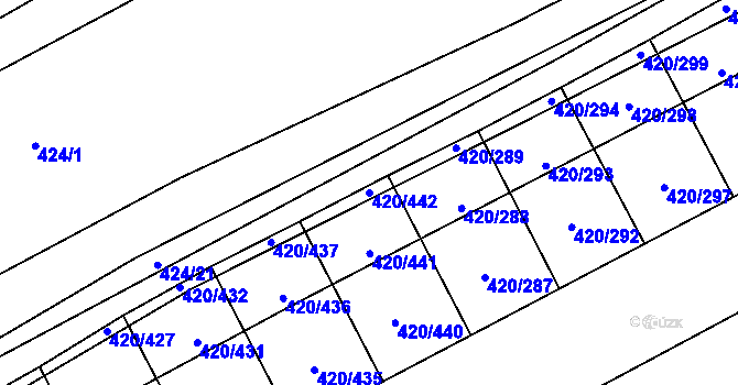Parcela st. 420/442 v KÚ Čejkovice, Katastrální mapa
