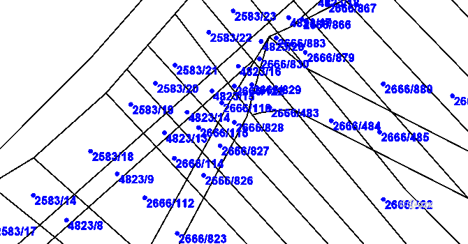 Parcela st. 2666/828 v KÚ Čejkovice, Katastrální mapa