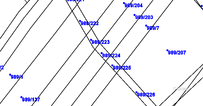 Parcela st. 989/224 v KÚ Čejkovice, Katastrální mapa