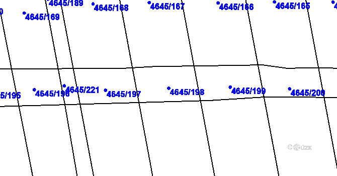 Parcela st. 4645/198 v KÚ Čejkovice, Katastrální mapa