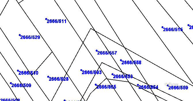 Parcela st. 2666/557 v KÚ Čejkovice, Katastrální mapa