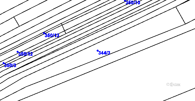 Parcela st. 344/3 v KÚ Čejkovice, Katastrální mapa