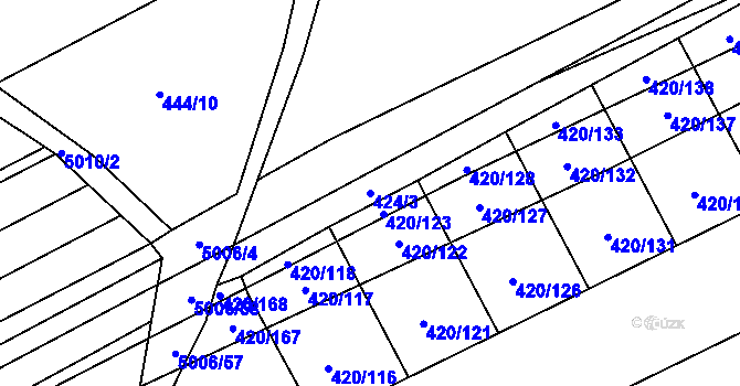 Parcela st. 424/3 v KÚ Čejkovice, Katastrální mapa
