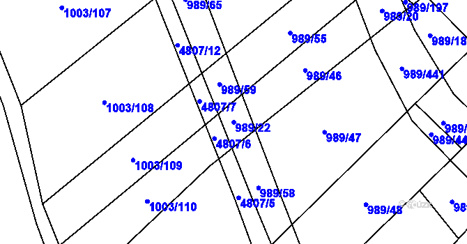 Parcela st. 989/22 v KÚ Čejkovice, Katastrální mapa