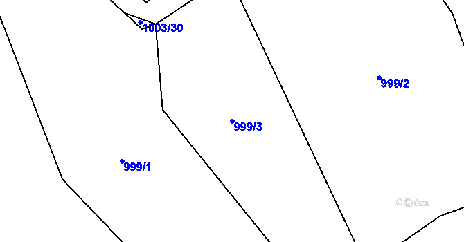 Parcela st. 999/3 v KÚ Čejkovice, Katastrální mapa