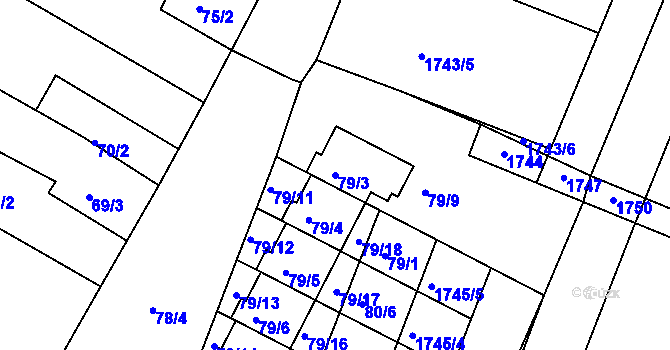 Parcela st. 79/3 v KÚ Čejkovice u Znojma, Katastrální mapa