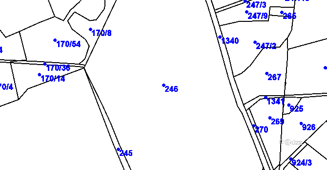 Parcela st. 246 v KÚ Zbynice, Katastrální mapa