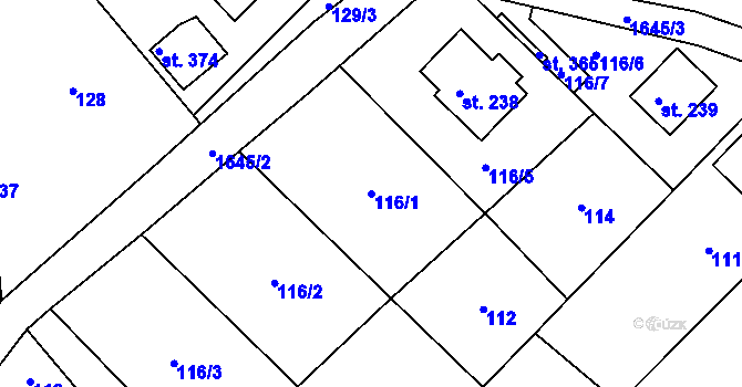 Parcela st. 116/1 v KÚ Čejov, Katastrální mapa