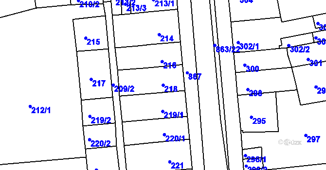 Parcela st. 218 v KÚ Čekanice u Tábora, Katastrální mapa