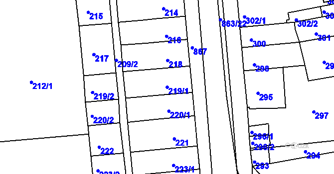 Parcela st. 219/1 v KÚ Čekanice u Tábora, Katastrální mapa