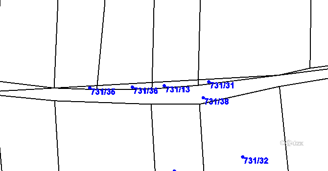 Parcela st. 731/13 v KÚ Čekanice u Tábora, Katastrální mapa