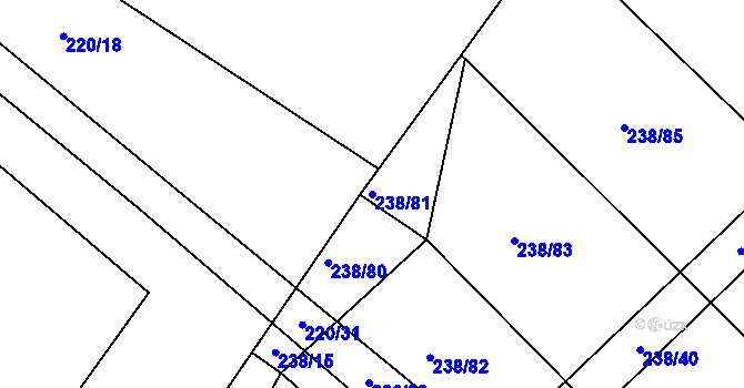 Parcela st. 238/81 v KÚ Sedlčánky, Katastrální mapa