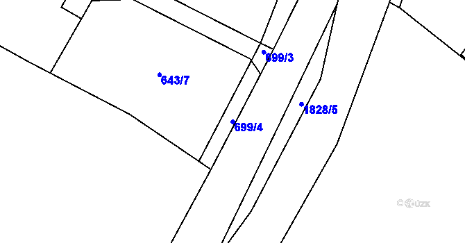 Parcela st. 699/4 v KÚ Čeminy, Katastrální mapa