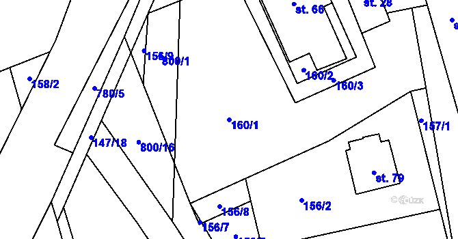 Parcela st. 160/1 v KÚ Čenkov u Třešti, Katastrální mapa