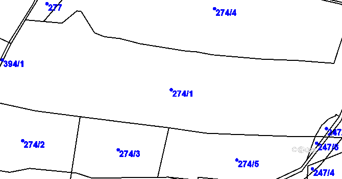 Parcela st. 274/1 v KÚ Čenkov u Třešti, Katastrální mapa
