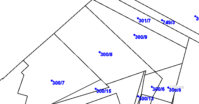 Parcela st. 300/8 v KÚ Čenkov u Třešti, Katastrální mapa