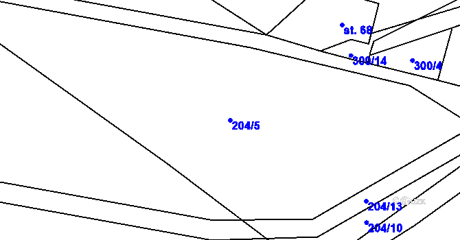 Parcela st. 204/5 v KÚ Čenkov u Třešti, Katastrální mapa