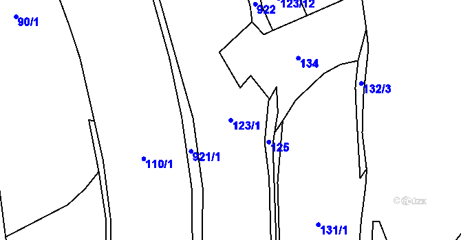 Parcela st. 123/1 v KÚ Čenkovice, Katastrální mapa