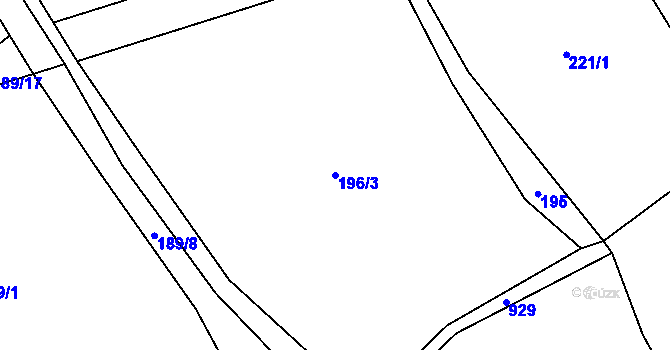 Parcela st. 196/3 v KÚ Čenkovice, Katastrální mapa