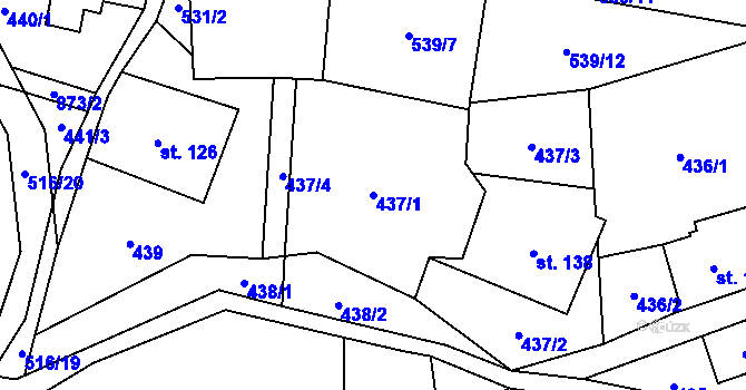 Parcela st. 437/1 v KÚ Čenkovice, Katastrální mapa