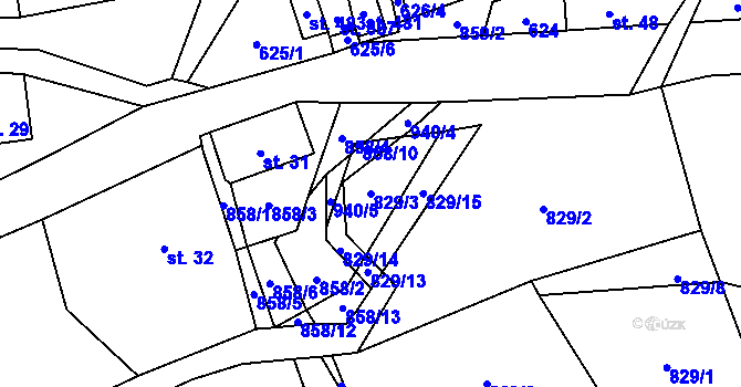 Parcela st. 829/3 v KÚ Čenkovice, Katastrální mapa