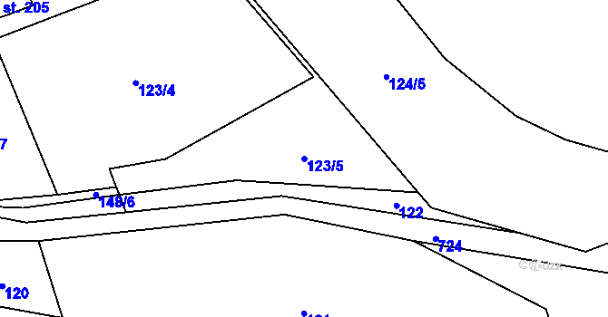 Parcela st. 123/5 v KÚ Černá, Katastrální mapa