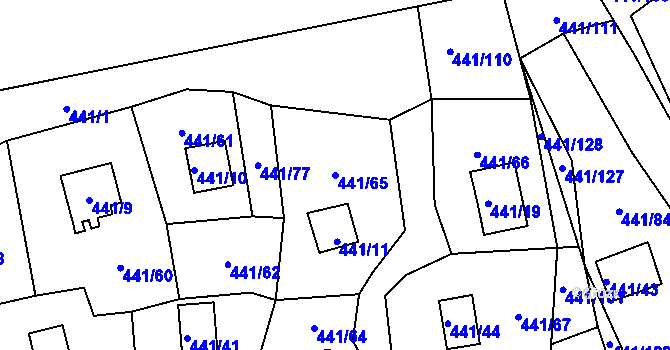 Parcela st. 441/65 v KÚ Černá v Pošumaví, Katastrální mapa