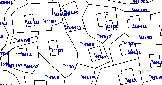 Parcela st. 441/99 v KÚ Černá v Pošumaví, Katastrální mapa