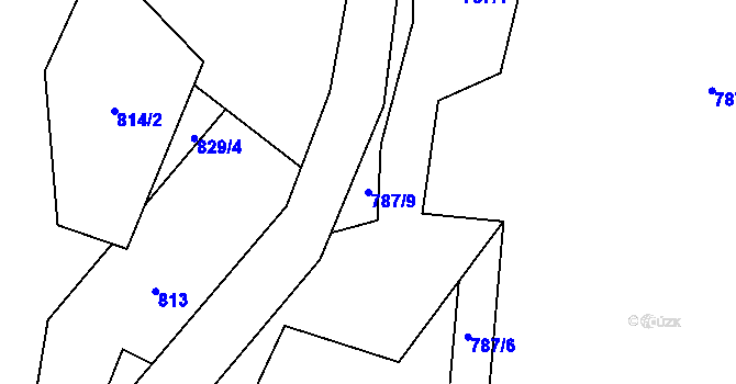 Parcela st. 787/9 v KÚ Černá Voda, Katastrální mapa