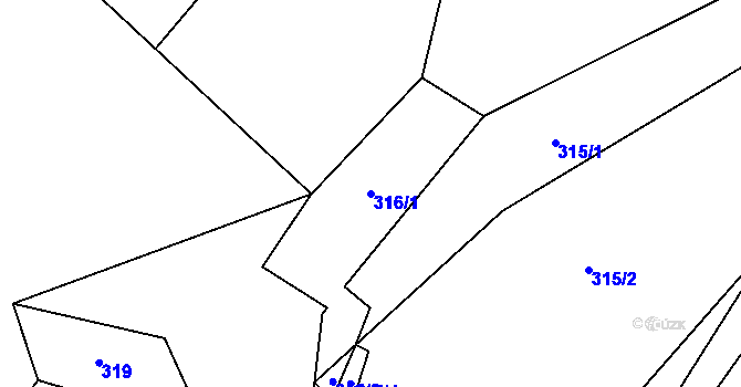 Parcela st. 316/1 v KÚ Černá Voda, Katastrální mapa