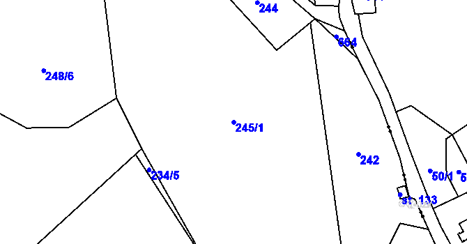 Parcela st. 245/1 v KÚ Černava, Katastrální mapa