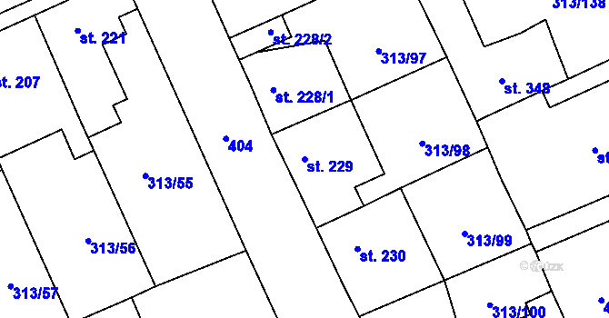 Parcela st. 229 v KÚ Černčice u Loun, Katastrální mapa