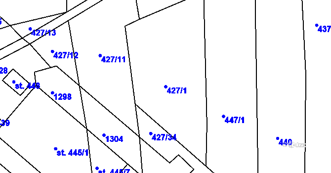 Parcela st. 427/1 v KÚ Černé Voděrady, Katastrální mapa